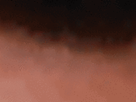 https://image.noelshack.com/fichiers/2021/40/4/1633639279-5-vvshc5b4.gif