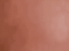 https://image.noelshack.com/fichiers/2021/40/4/1633639282-12-vvshc5b4.gif