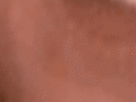 https://image.noelshack.com/fichiers/2021/40/4/1633639306-60-vvshc5b4.gif