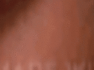 https://image.noelshack.com/fichiers/2021/40/4/1633639388-78-vvshc5b4.gif