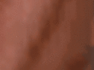 https://image.noelshack.com/fichiers/2021/40/4/1633639454-62-vvshc5b4.gif