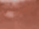 https://image.noelshack.com/fichiers/2021/40/4/1633639455-61-vvshc5b4.gif