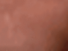 https://image.noelshack.com/fichiers/2021/40/4/1633639460-69-vvshc5b4.gif