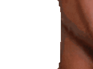 https://image.noelshack.com/fichiers/2021/40/4/1633640719-7-jxy5fced.gif