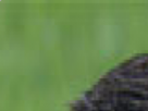 https://image.noelshack.com/fichiers/2021/40/4/1633640997-5-qcttmeqb.png