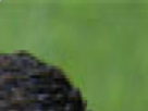 https://image.noelshack.com/fichiers/2021/40/4/1633640997-6-qcttmeqb.png