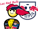 https://image.noelshack.com/fichiers/2021/40/5/1633727141-masterrace-red-bulls-leipzig-exterieur.png