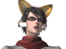 https://image.noelshack.com/fichiers/2021/40/5/1633727802-bayonetta-fox-mccloud.png