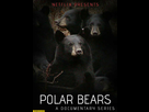 https://www.noelshack.com/2021-40-7-1633824205-polar-bears-a-documentary-series-by-netflix-black-bears.jpg