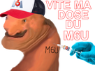 https://image.noelshack.com/fichiers/2021/41/2/1634043815-vite-ma-dose-m6u.png