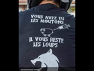 https://image.noelshack.com/fichiers/2021/41/2/1634067166-mouton-loups.jpg