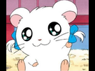 https://image.noelshack.com/fichiers/2021/41/5/1634316442-hamtaro11.jpg