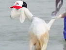 https://image.noelshack.com/minis/2021/42/2/1634679233-noname.png