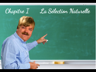 https://image.noelshack.com/fichiers/2021/43/2/1635226392-selection-naturelle.png