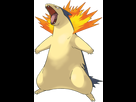 https://image.noelshack.com/fichiers/2021/43/7/1635652862-157-typhlosion.png