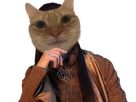 https://image.noelshack.com/fichiers/2021/43/7/1635687588-elrond-chat.png