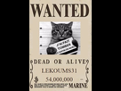 https://image.noelshack.com/fichiers/2021/43/7/1635700776-primejvc-lekoums31.jpg