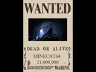 https://image.noelshack.com/fichiers/2021/43/7/1635700776-primejvc-minecat64.jpg