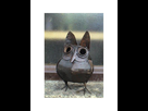https://image.noelshack.com/fichiers/2021/44/4/1636035835-petit-hibou-abstrait-en-metal.jpg
