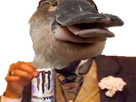 https://image.noelshack.com/fichiers/2021/44/4/1636038636-20211031-185437.png