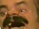 https://image.noelshack.com/fichiers/2021/44/4/1636038650-risinistre.png