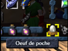 https://image.noelshack.com/fichiers/2021/44/7/1636299208-kikoojap-de-poche.png