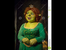 https://image.noelshack.com/fichiers/2021/45/4/1636620386-princess-fiona-fictional-character-who-appears-dreamworks-shrek-franchise-first-appearing-animated-film-wax-hyper-125059236.jpg