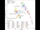 https://image.noelshack.com/fichiers/2021/46/1/1636999231-principal-component-analysis-pca-on-all-present-day-west-eurasians-with-ancient-samples.jpeg