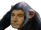 https://image.noelshack.com/fichiers/2021/46/3/1637178779-image.png