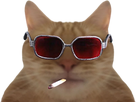 https://image.noelshack.com/fichiers/2021/46/5/1637352239-1636795951-245154-full.png