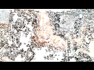 https://image.noelshack.com/minis/2021/46/7/1637524599-ezgif-com-gif-maker-4.png