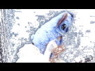 https://image.noelshack.com/minis/2021/47/1/1637602712-ezgif-com-gif-maker-11.png