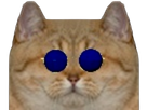https://image.noelshack.com/fichiers/2021/47/6/1637990191-1637610553-cutpaste-2021-11-22-20-47-09-517-removebg-preview.png