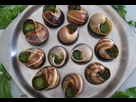 https://image.noelshack.com/fichiers/2021/48/4/1638444013-escargot.jpg