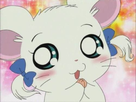https://image.noelshack.com/fichiers/2021/48/4/1638451106-hamtaro7.jpg