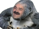 https://image.noelshack.com/fichiers/2021/48/5/1638549549-singix-copie.png