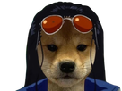 https://image.noelshack.com/fichiers/2021/48/6/1638634654-shibarobin-removebg-preview.png