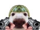 https://image.noelshack.com/fichiers/2021/48/6/1638637675-chien-melon-gun.png