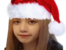 https://image.noelshack.com/fichiers/2021/49/2/1638895197-lisa-rose-blackpink-noel.png