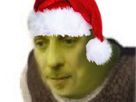 https://image.noelshack.com/fichiers/2021/49/2/1638896004-shrek-noel.png