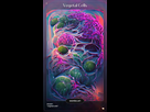 https://image.noelshack.com/fichiers/2021/49/2/1638896249-vegetal-cells-synthwave.jpg