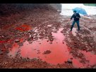 https://image.noelshack.com/fichiers/2021/49/4/1639039730-chinas-water-pollution.jpg