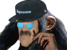 https://image.noelshack.com/minis/2021/49/4/1639062500-supremesingetvn.png