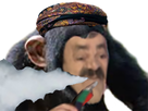 https://image.noelshack.com/fichiers/2021/49/4/1639064276-singesultan2bexl.png