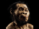 https://image.noelshack.com/fichiers/2021/49/6/1639183954-homo-naledi-reconstruction.jpg