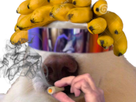 https://image.noelshack.com/fichiers/2021/50/1/1639397565-1638636332-chien-banane-lunette-1.png