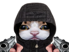 https://image.noelshack.com/fichiers/2021/50/1/1639405202-1639400284-chat-guns.png
