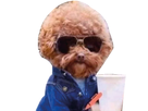 https://image.noelshack.com/fichiers/2021/50/1/1639413569-chien-swag-cool-dog-style-copie.png