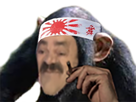 https://image.noelshack.com/minis/2021/50/1/1639413744-singejaponais.png