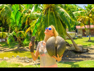 https://image.noelshack.com/fichiers/2021/50/2/1639443190-123873188-happy-fanny-tourist-woman-holding-lodoicea-maldivica-nut-male-and-female-known-as-coco-de-mer-or-sea.jpg